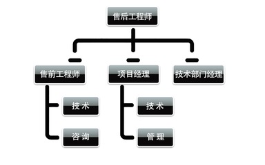 探索IT行业多元就业路径 技术、咨询与销售前景展望